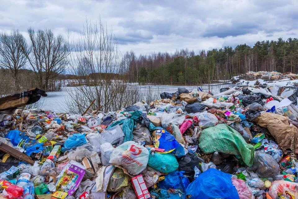 Год экологии отходы. Мусорные полигоны Тверской области. Мусорный полигон Тверь. Экология свалки.