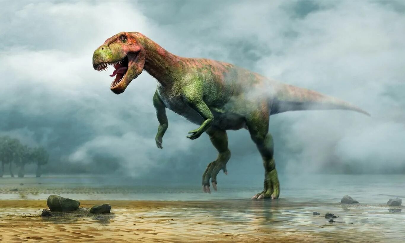 Двуногие динозавры. Тероподы юрского периода. Gualicho shinyae. Двуногие хищные динозавры. Скелет велоцираптора.