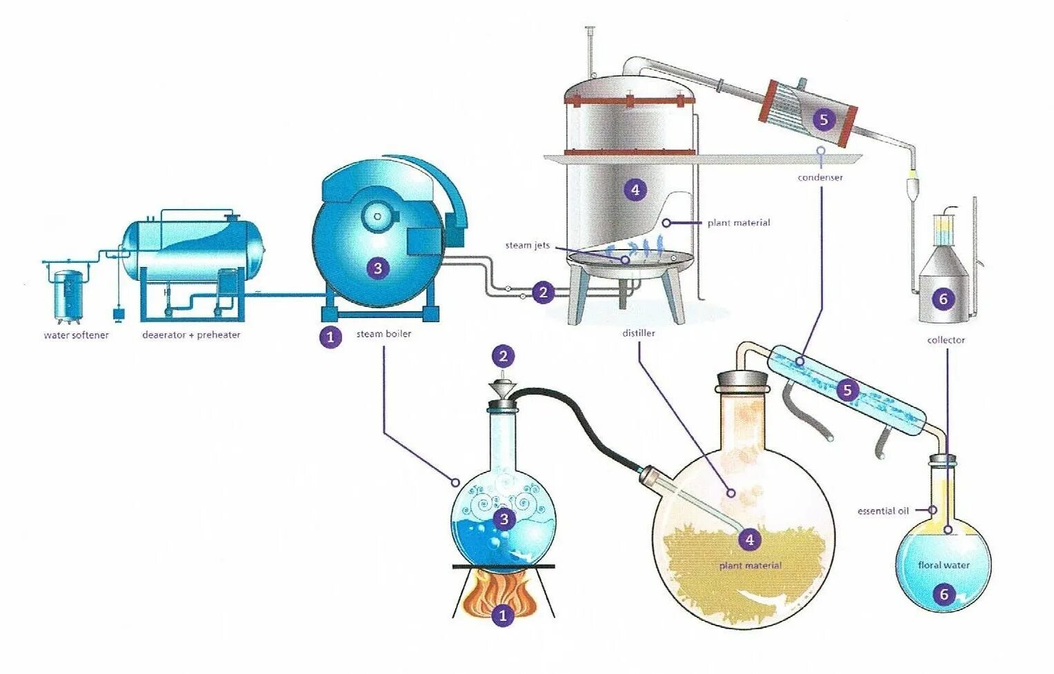 Production method. Essential Oil distillation. Distillation process. Steam distillation of Essential Oils. Distillation Boiler Plant.
