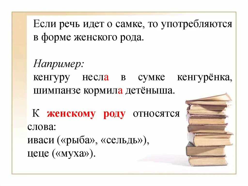 Какой род у слова шоссе. Род существительных кенгуру. Кенгуру род существительного в русском. Кенгуру какого рода существительное. Кенгуру какой род существительного в русском языке.