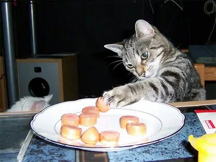 Не прикоснувшийся к блюду