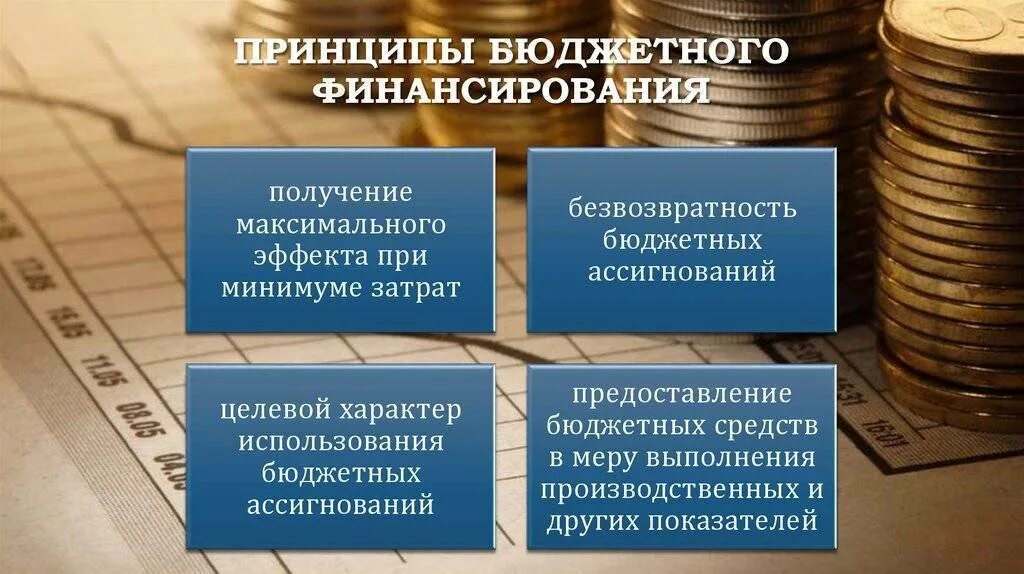 Фонды цб рф. Бюджетное финансирование. Принципы бюджетного финансирования. Бюджетное финансирование осуществляется на принципах. Характерные принципы организации бюджетного финансирования.