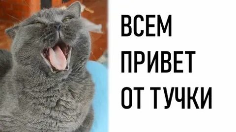 Под предыдущим
