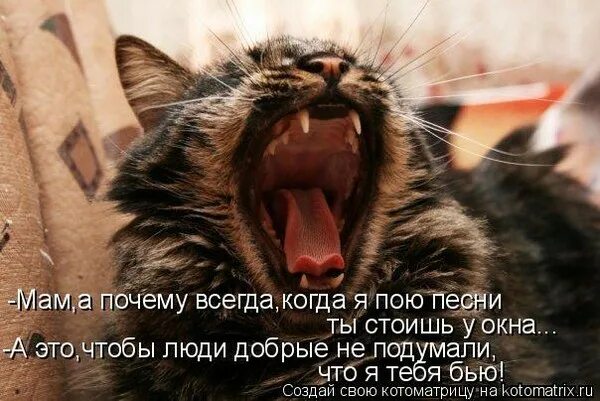 А почему не всегда