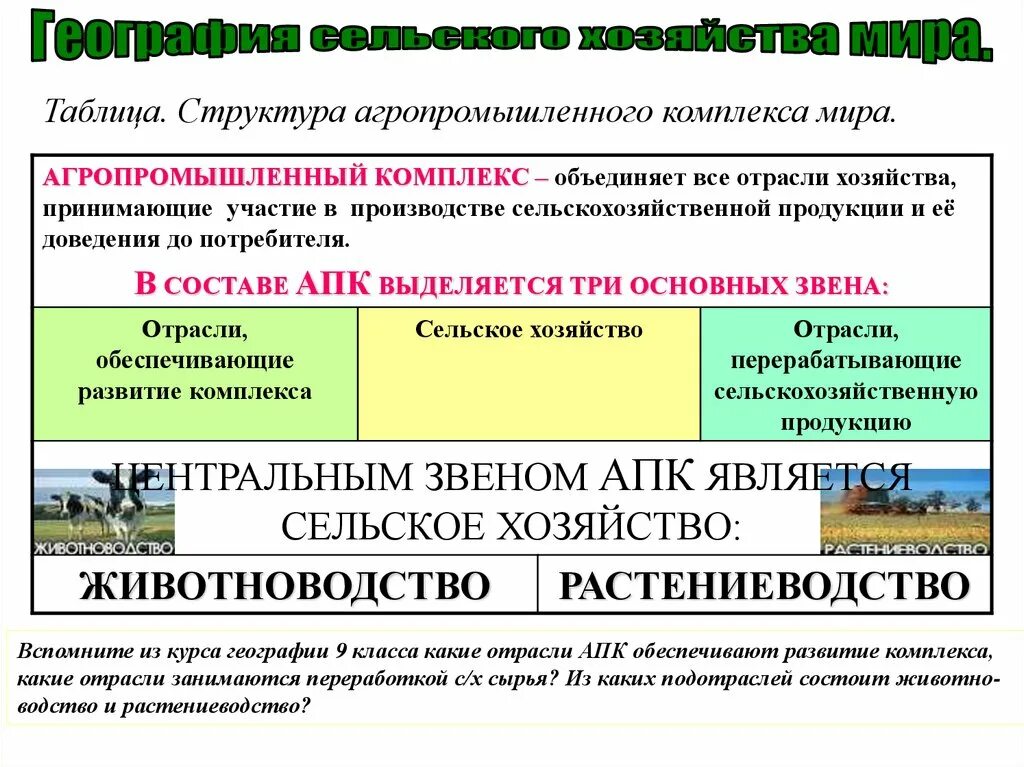 Что входит в структуру растениеводства