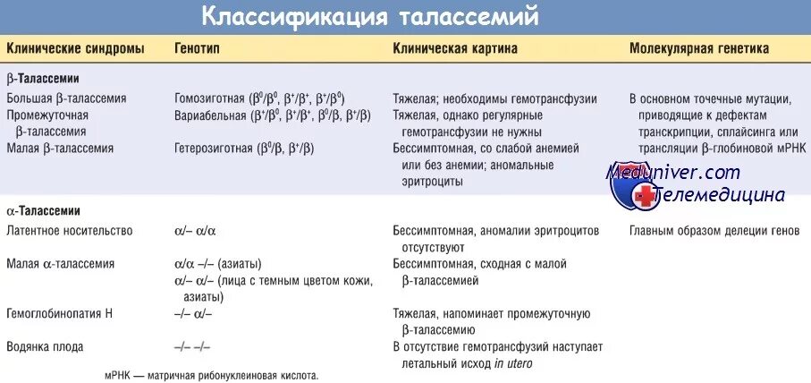 Талассемия клинические рекомендации. Бета талассемия патогенез. Альфа талассемия классификация. Талассемия показатели крови. Бета талассемия классификация.