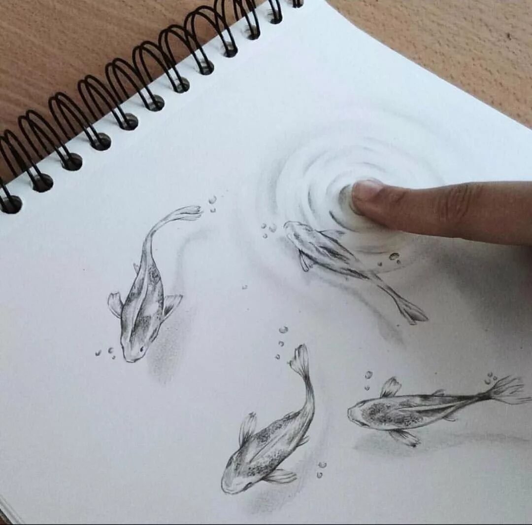3d скетч