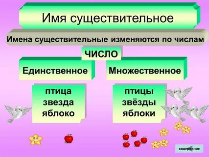 Число сущ 3 класс презентация