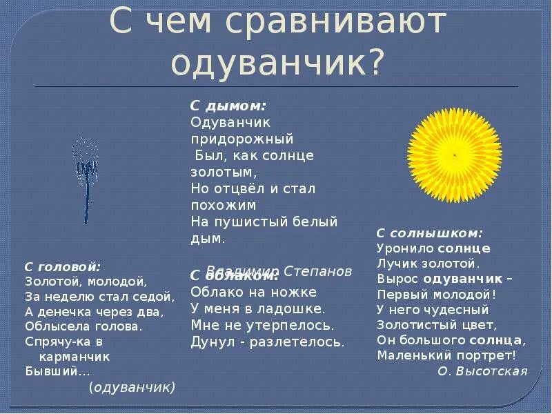 О и высоцкой одуванчик. Стих про одуванчик. Стихотворение Высотской одуванчик. Стих про одуванчик для детей. Сравнение одуванчиков.