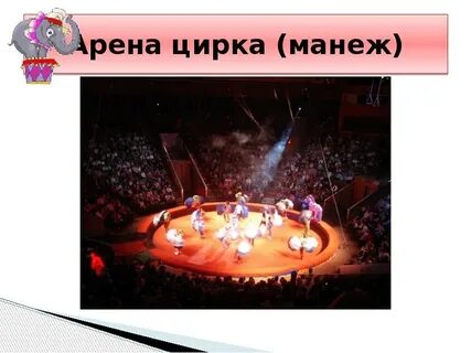 Презентация цирк 3 класс