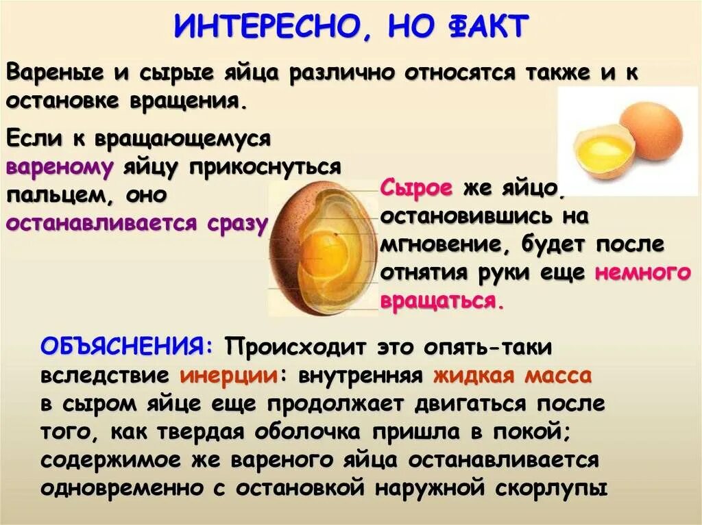 Сырое яйцо каждое утро. Вареное и сырое яйцо. чем полезно яйцо куриное вареное. желток куриного яйца. витамины в яйце курином.