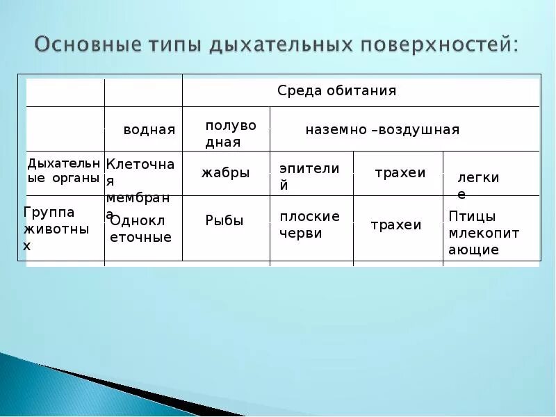 Особенности дыхания зверей. Органы газообмена у животных. Среда и органы дыхания животных. Типы дыхания у животных. Органы дыхания животных таблица.