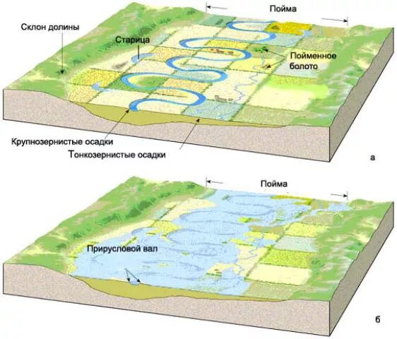 Пойма что это такое. Пойма реки схема. Строение Речной Поймы. Строение Поймы реки схема. Сегментные Поймы.