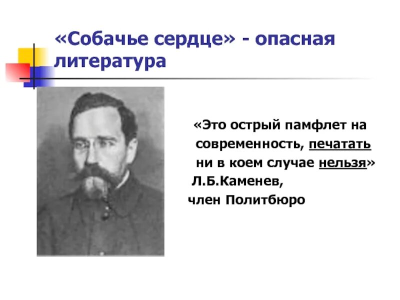 Памфлет читать. Л б каменев. памфлет это в литературе. памлетэто в литературе примеры. литературный термин-памфлет.