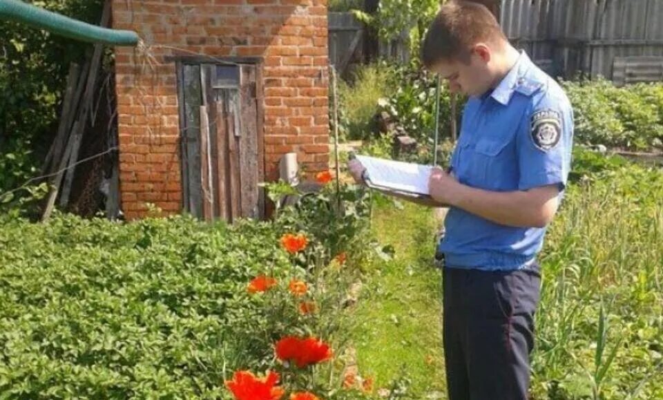 Почему мак запрещен. Мак на садовом участке. Мак который нельзя выращивать. Полиция на даче. Запретные растения на участке.