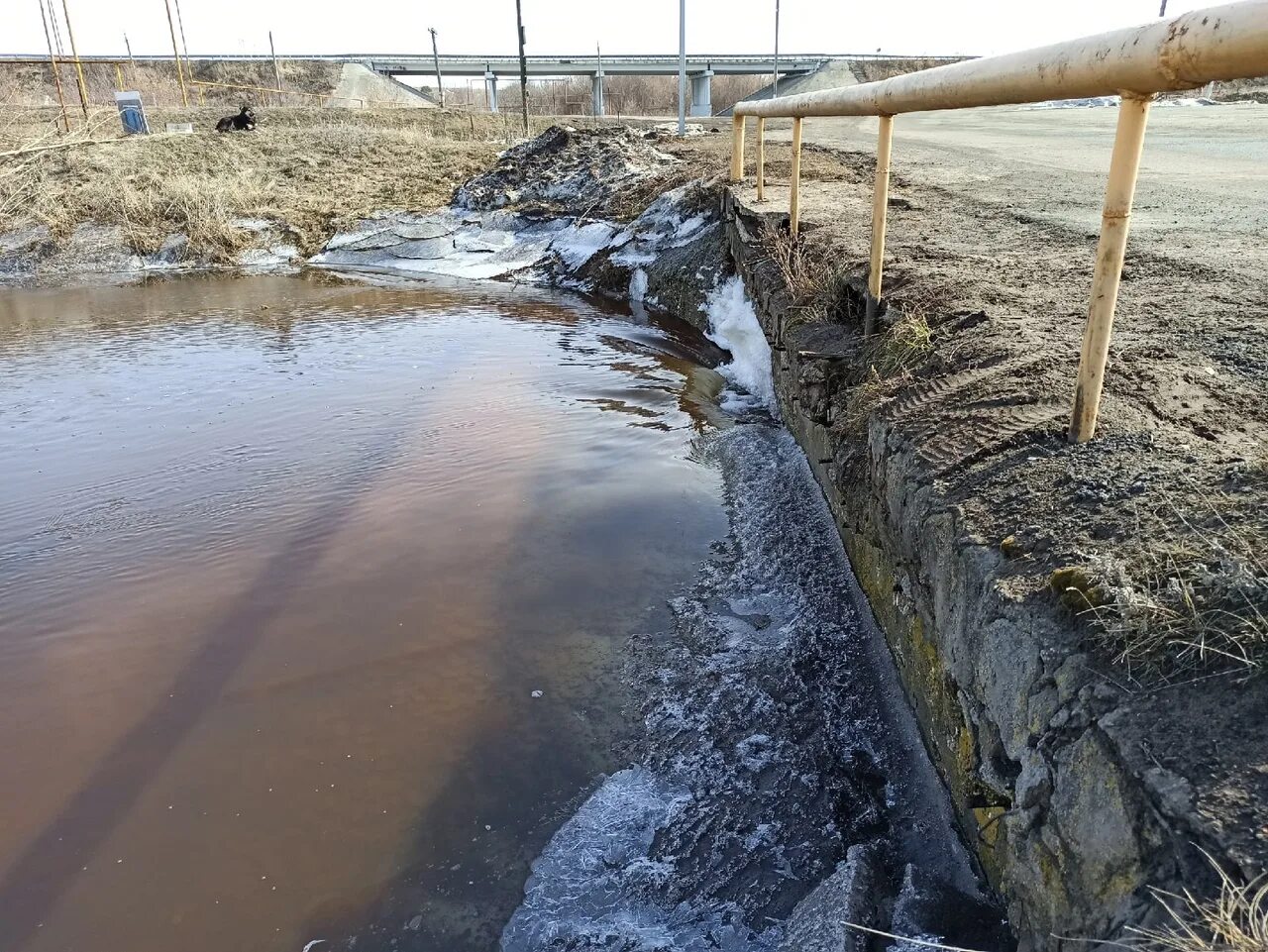 Кратковременное поднятие воды в реке. Мусорка Самарская область половодье. Наводнение в село Самарское. Потоп в селе мусорка. Паводок в Самарской области.