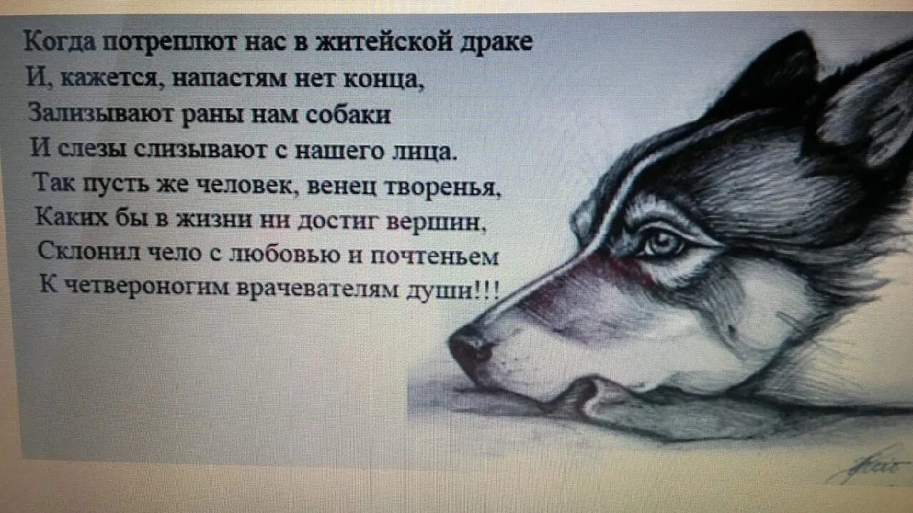 Собака ушла из жизни