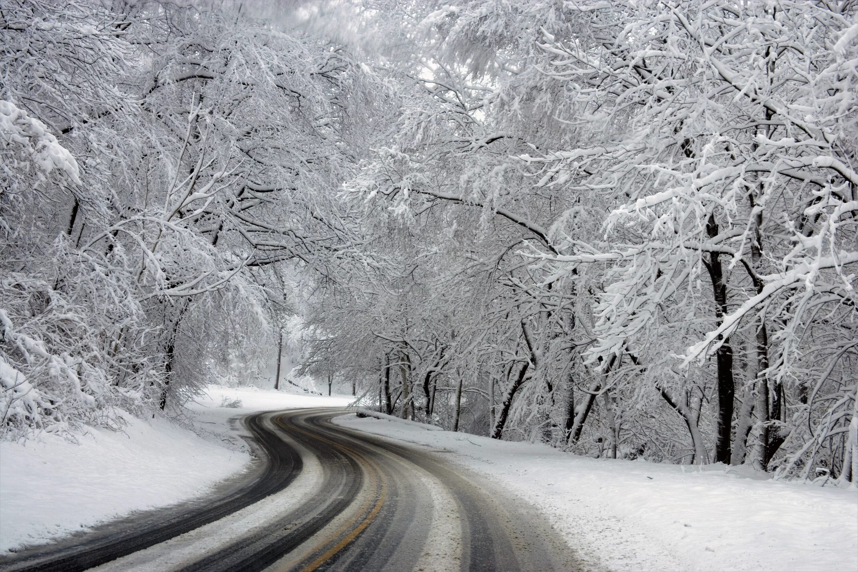 Snowy split
