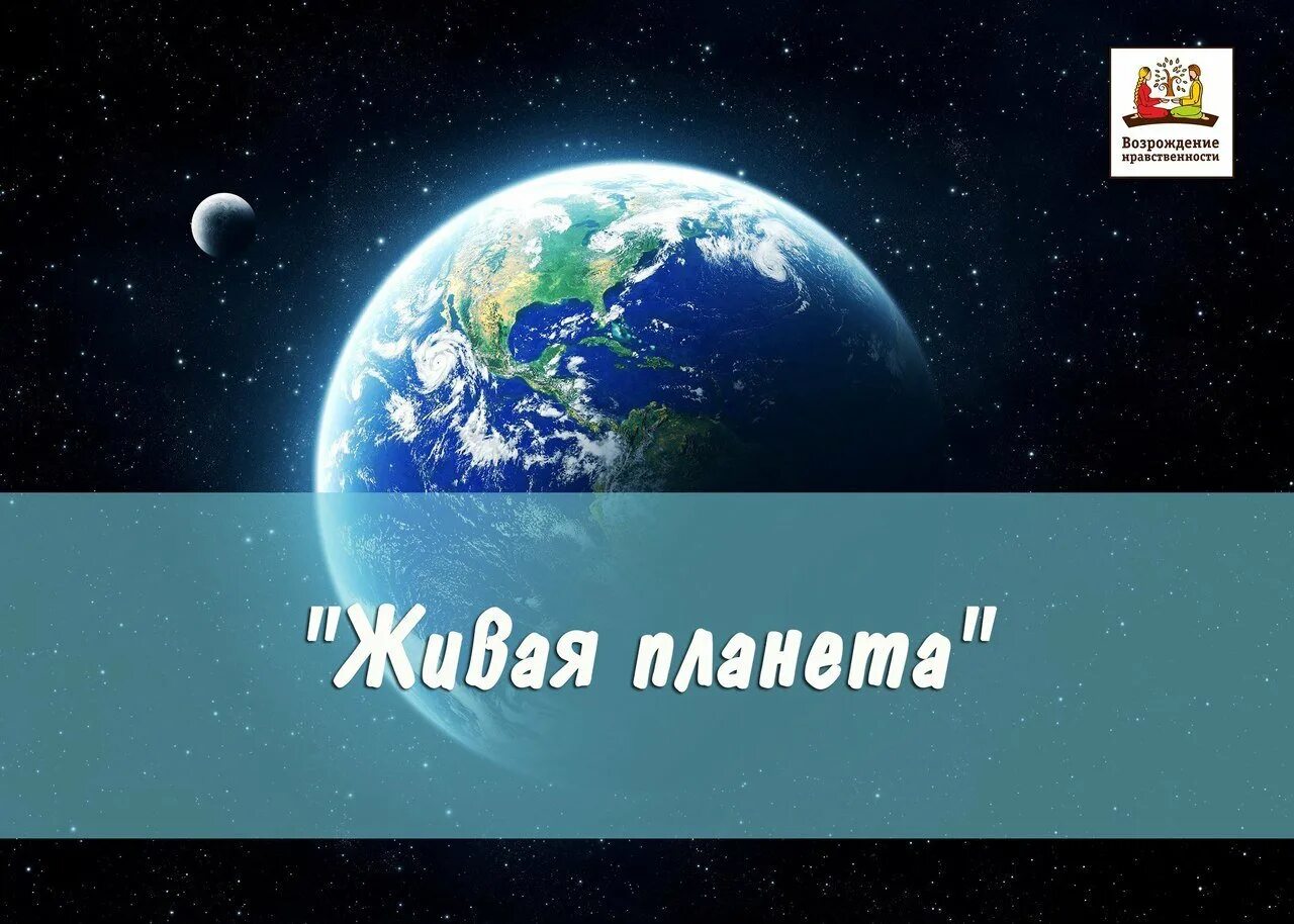 День живой планеты. Живая Планета. Телеканал Живая Планета. Фот Живая Планета. Название Живая Планета.