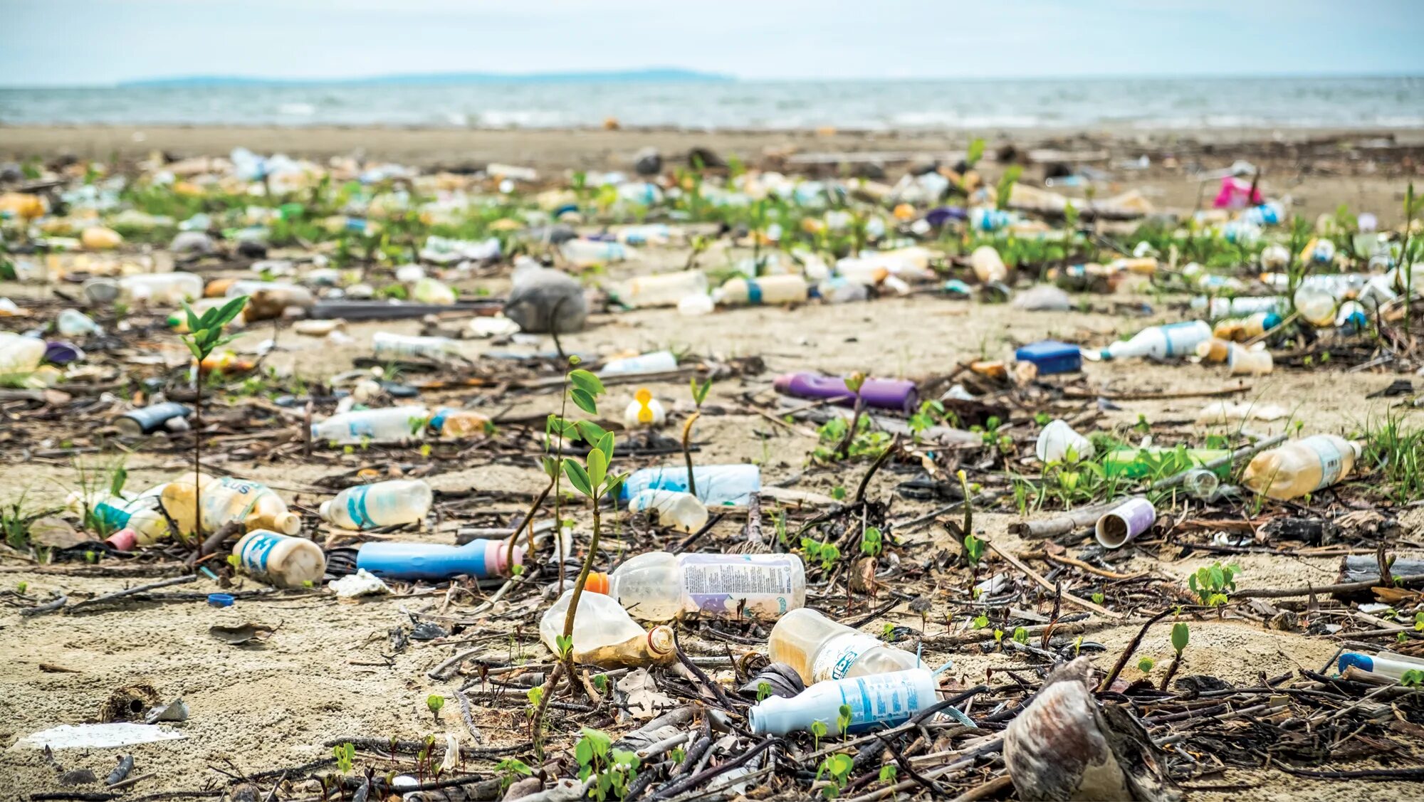 A lot of pollution. «Stop Plastic pollution», Грин Пис. Загрязнение пластиком. Загрязнение воды пластиком. Песок загрязненный пластиком.