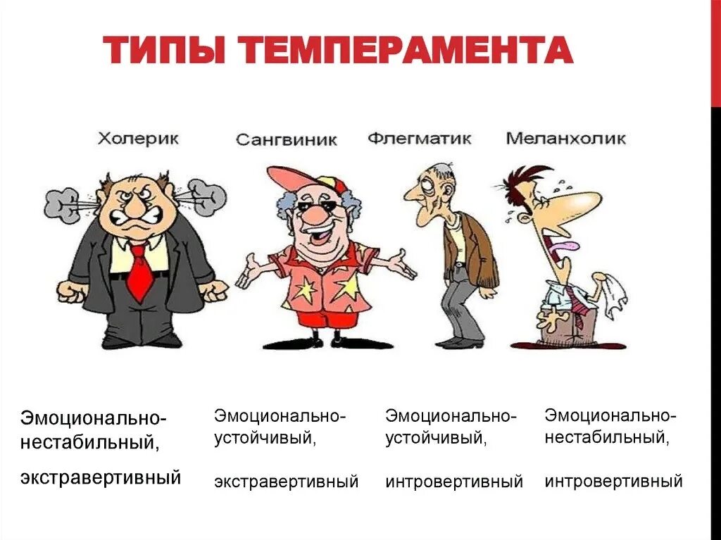 Психологические типы личности людей