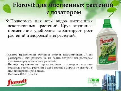 Подкормка корневой системы