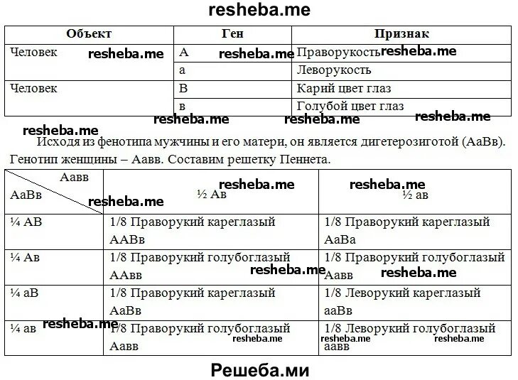 У человека праворукость доминирует над леворукостью кареглазость. У человека праворукость доминирует над леворукостью кареглазость