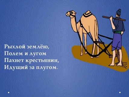 Пашу как лошадь