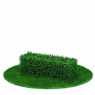 Green small