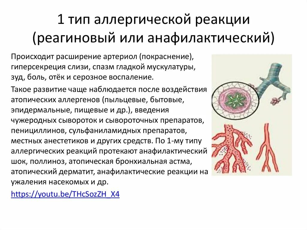 Реагиновый тип реакции. Реагиновый тип аллергических реакций патогенез. патогенез реагинового типа аллергии. аллергическая реакция 1 типа. тип (реагиновый, анафилактический) это.