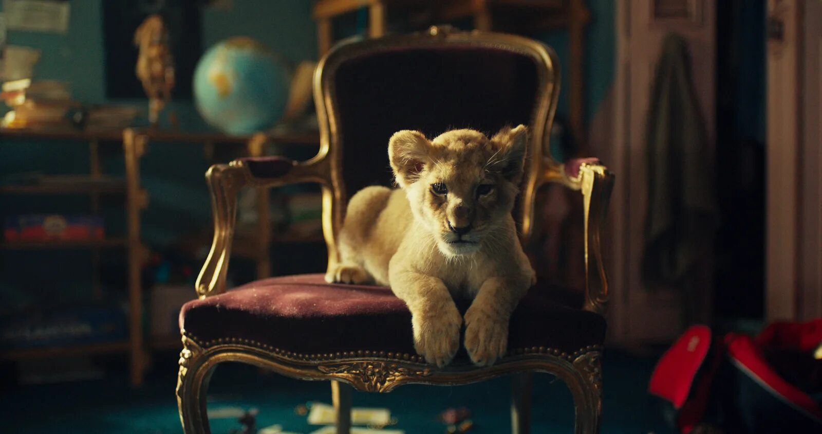 Король-львёнок (2022) - King - кадры из фильма - европейские фильмы - Кино-Театр