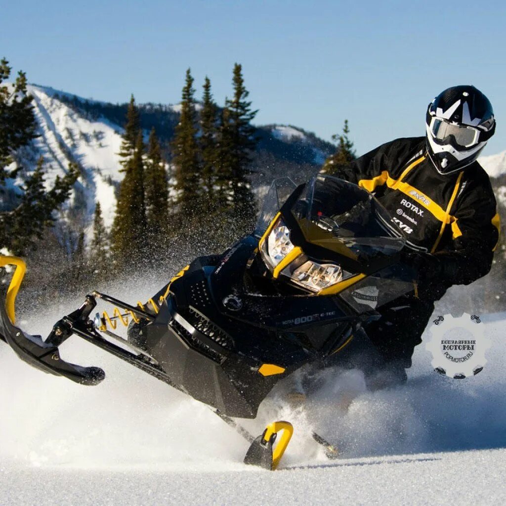 Snowmobile ru снегоходный. Снегоход BRP Ski-Doo. Горные снегоходы BRP Ski-Doo. BRP MXZ 800. Снегоходы BRP Модельный ряд.