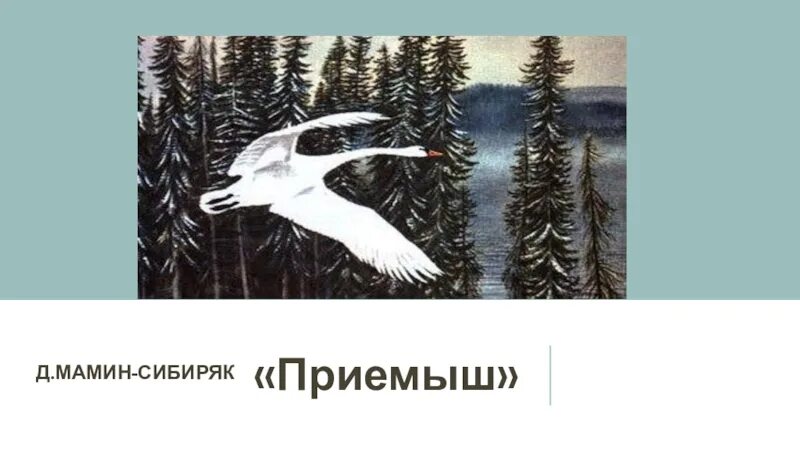 Рассказ приёмыш мамин-Сибиряк. Иллюстрация к рассказу приемыш мамин Сибиряк. План приемыша 4 класс д мамин Сибиряк. Иллюстрация словами из текста приемыш