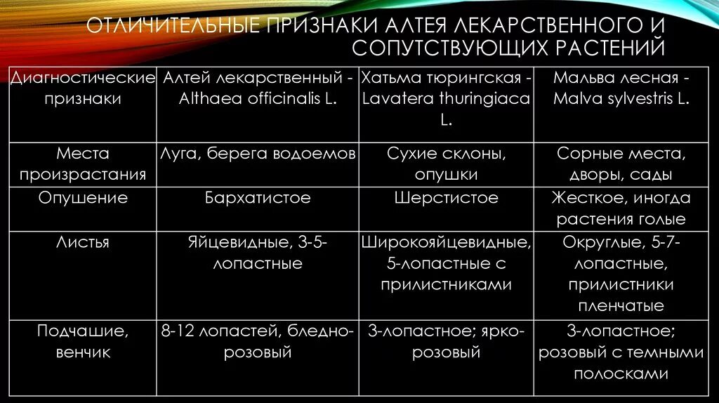 Диагностические признаки растений. Отличительные признаки Алтея. Диагностические признаки Алтея. Морфологические признаки Алтея лекарственного. Отличительная особенность информации