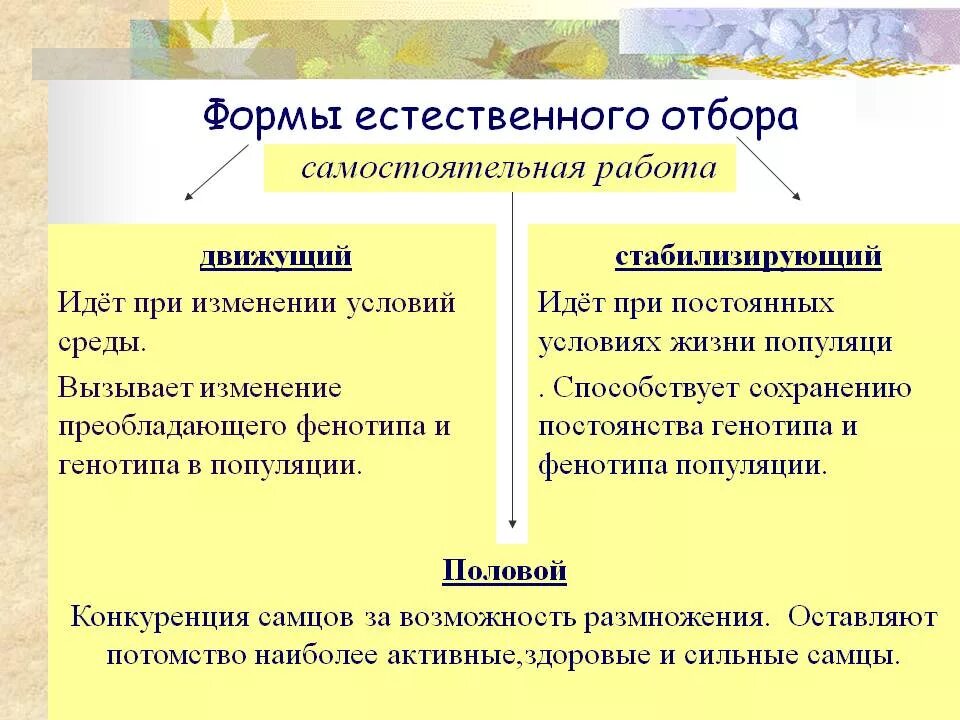 Результатом отбора является образование. Формы естественного отбора таблица по биологии 11 класс. Формы естественного отбора + понятие+пример. Основные формы естественного отбора кратко. Таблица формы естественного отбора 10 класс.