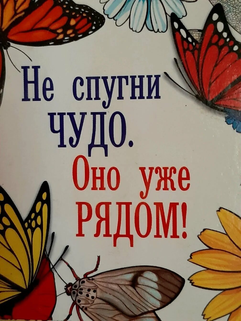 С днем ожидания чуда картинки. День ожидания чуда. День ожидания чуда открытки.