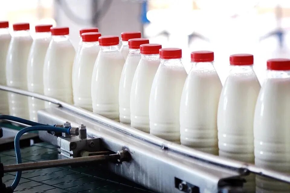 Сбор молока. Тендеры молоко. Молочный продукт. Ведро с молоком. Тендеры молоко.