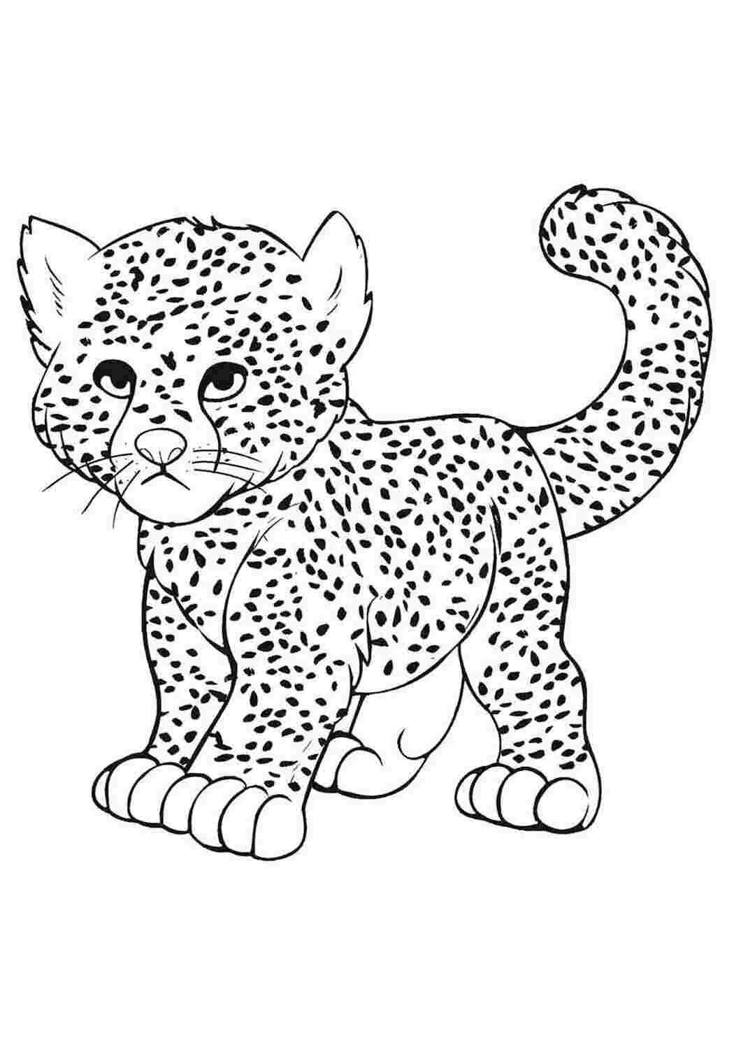 Рисунки животных распечатки
