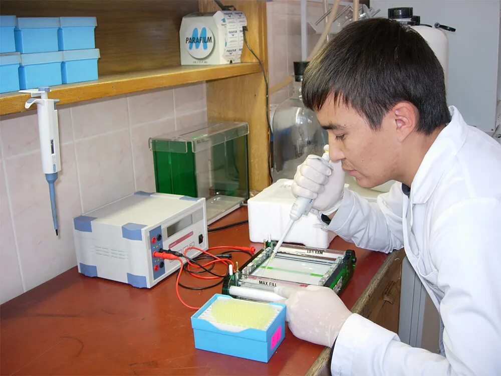 лабораторный генетик