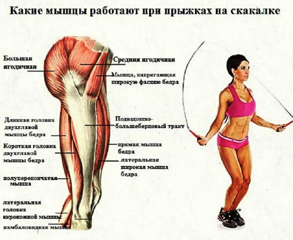 Сколько надо прыгать на скакалке. Прыжки на скакалке какие мышцы работают. Какие мышцы задействованы при прыжках на скакалке. Скакалка какие мышцы работают. Группы мышц при прыжках на скакалке.