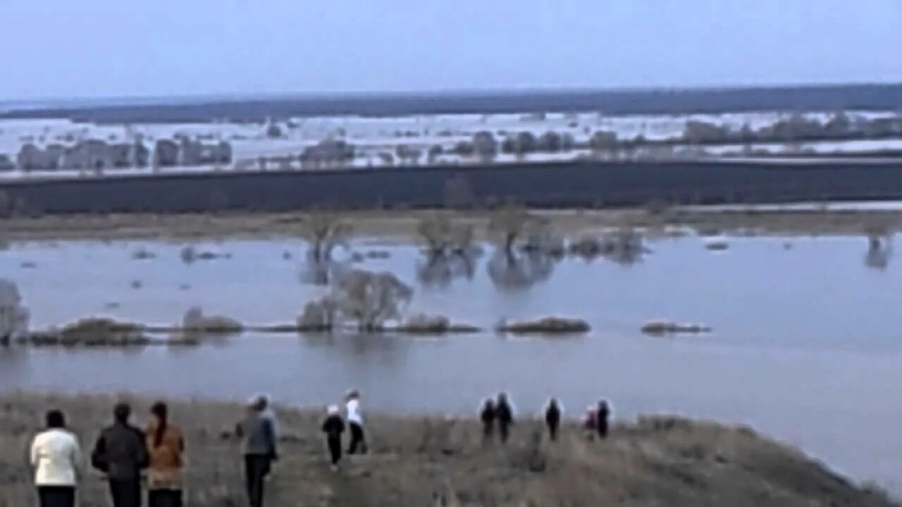 Уровень воды в белоомуте на сегодня оке. Разлив Оки Слемские Борки. Разлив Оки в Рязани 2023. Разлив Оки в Белоомуте 2023. Разлив Оки 2023 в Калуге.