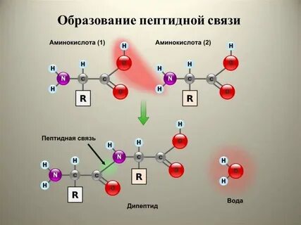 Биохимия темы