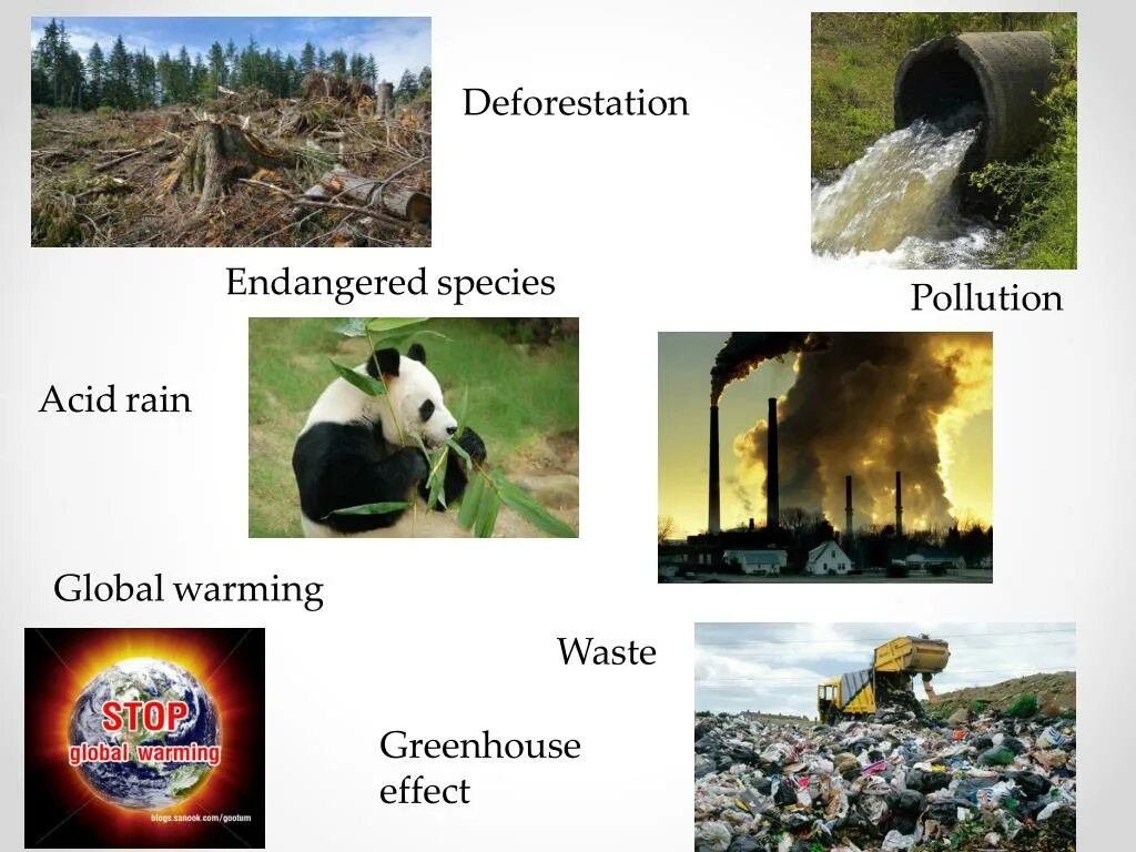 Environmental problems презентация. Ecological problems задания. Global ecological problems. Global Environmental problems.