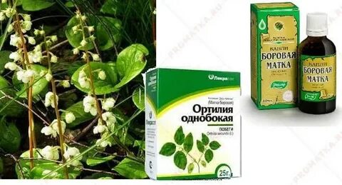 Матка боровая в гинекологии