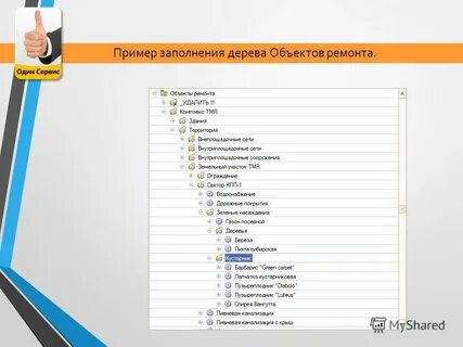 Сервис не один