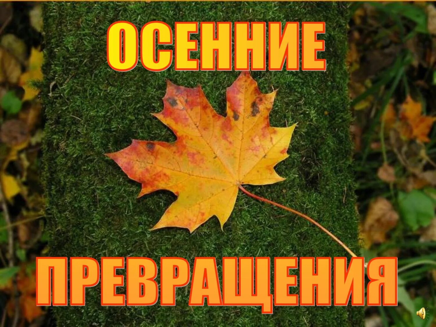 Название праздника осени. Презентация на тему осень сентябрь. Презентация на тему осень. Праздник осени. Осенний вернисажнадпичь.