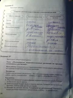 Лабораторная 6 пономарева