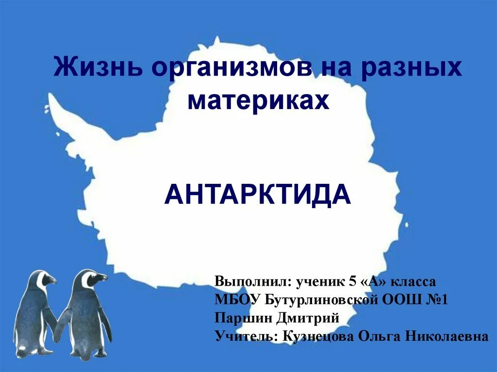 Живые организмы разных материков. Антарктида (материк). Жизнь организмов на разных материках. Жизнь организмов на разных материках 5 класс. Жизнь на разных материках Антарктида.