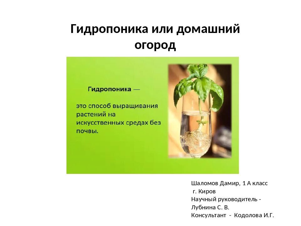 Метод выращивания растений без почвы. Без почвы не будет. Рассказать про почву. Почва и человек. Без почвы не будет.