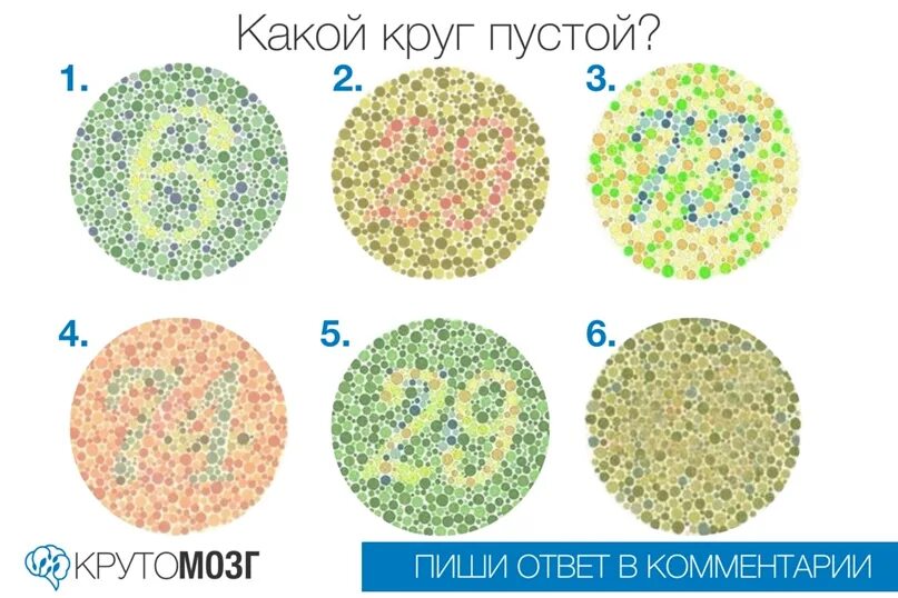 Какой круг вопросов. Тест круги. финский тест для новобранцев. финский тест. тест с кругами психологический.